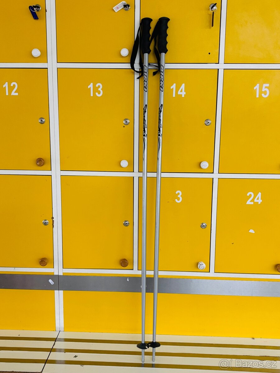 plně funkční hole - hůlky Birky Riders (130 cm)