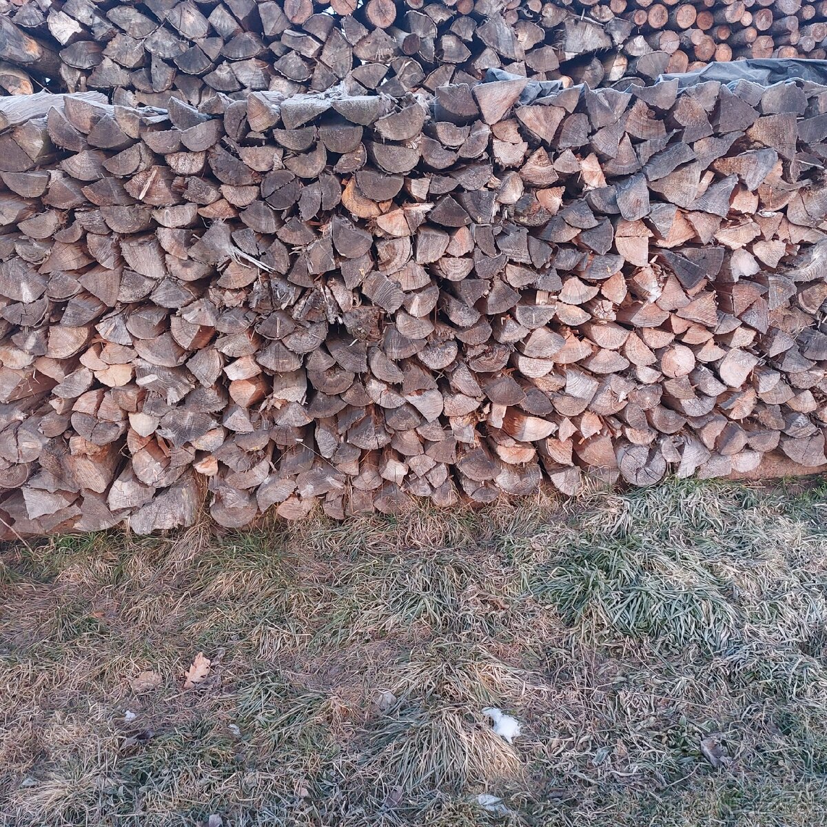 Prodám palivové dřevo