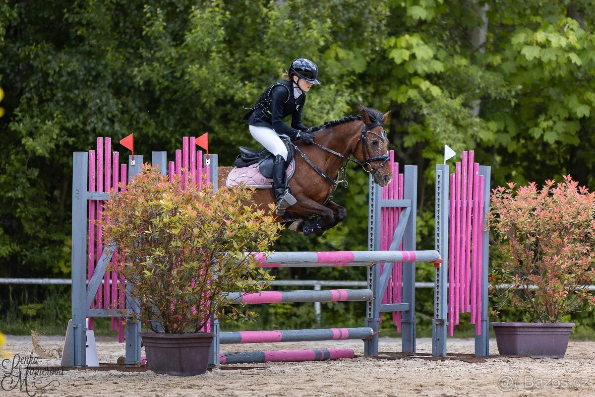 Pony do sportu