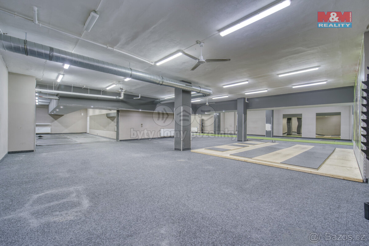 Pronájem výrobního objektu, 845 m², Plzeň, ul. Gerská