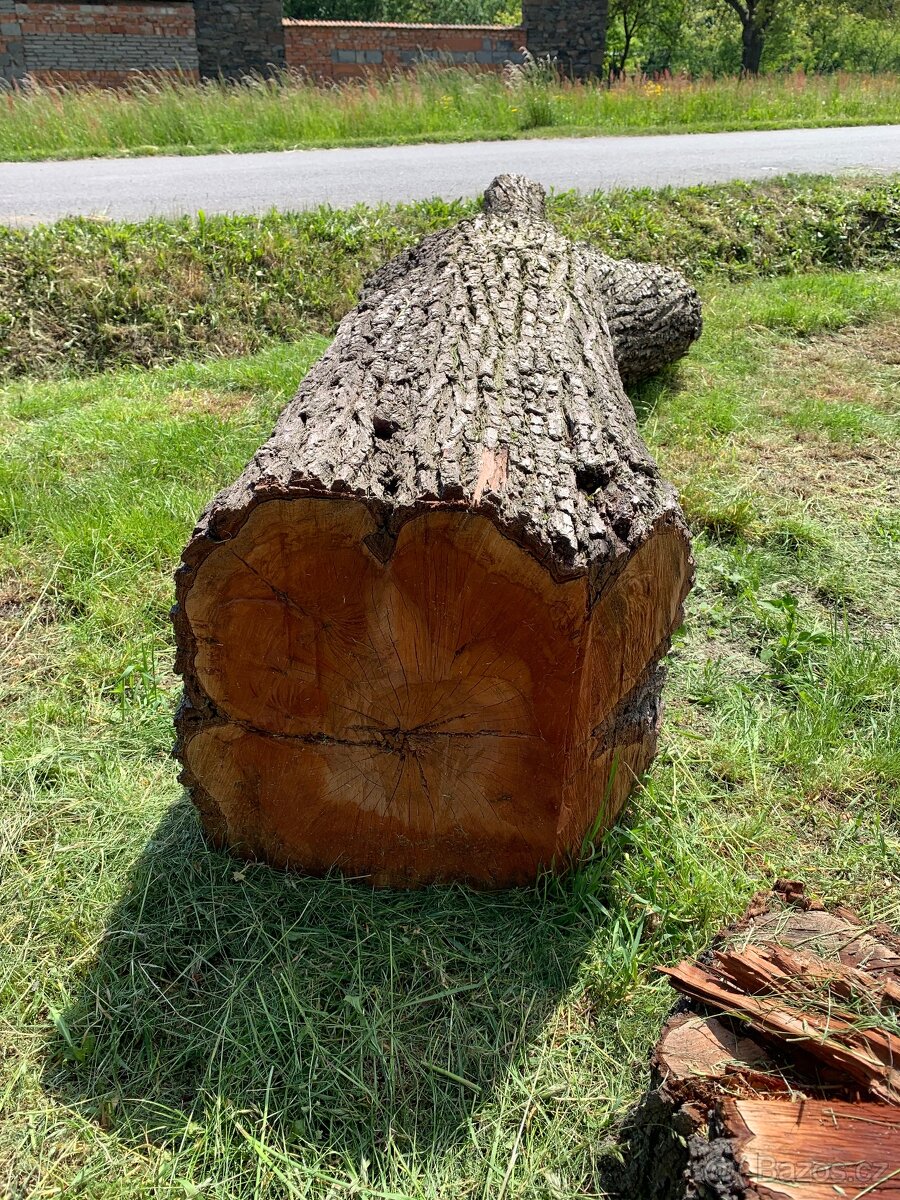 Naprodej kmen hrušeň