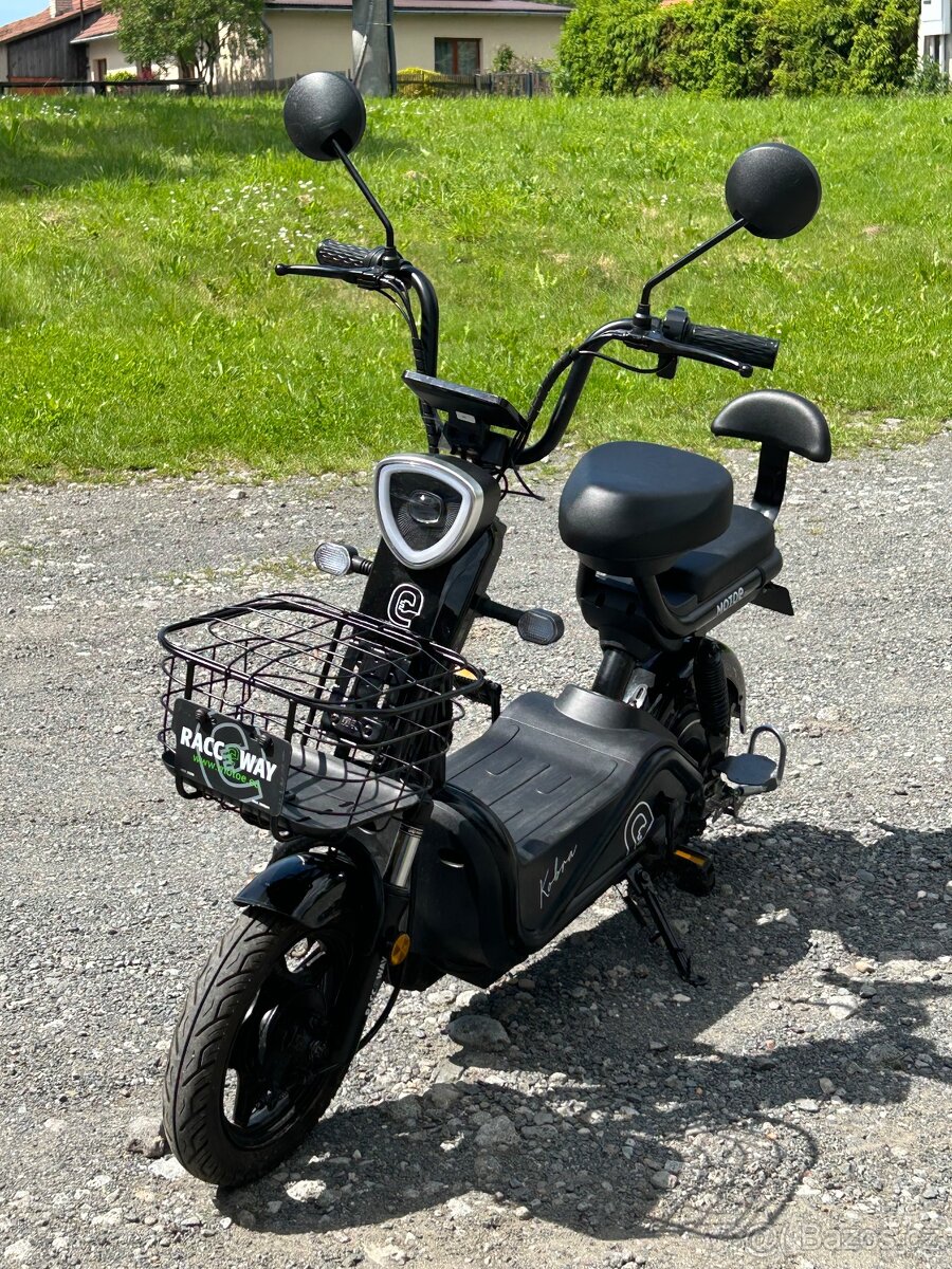 Kobra racceway
