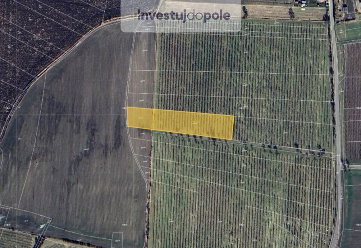 Prodej sadu / vinice 6 302 m², Liběšice - Soběnice