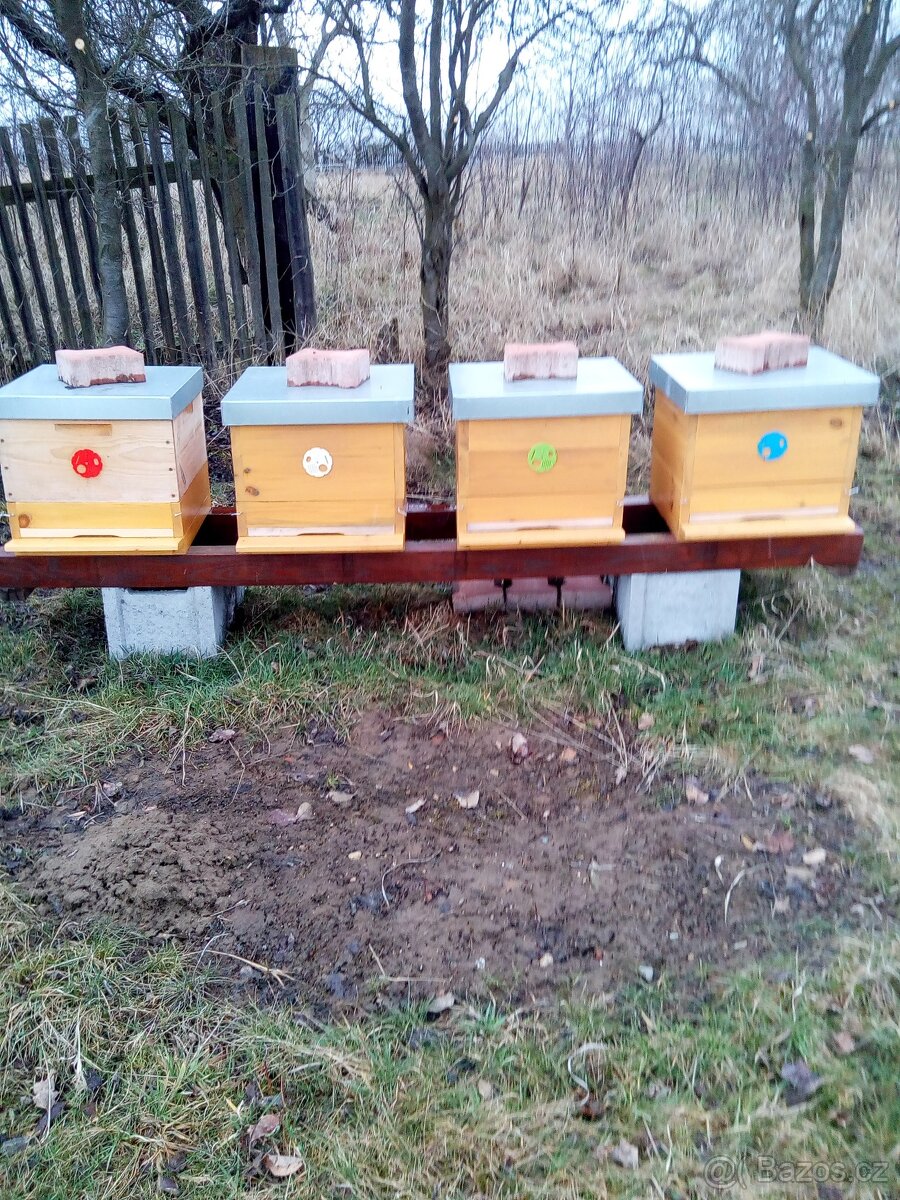 Vyzimovaná včelstva