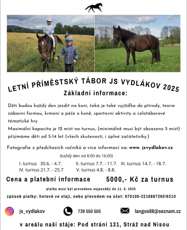 Příměstský tábor u koni v Liberci - poslední volná místa