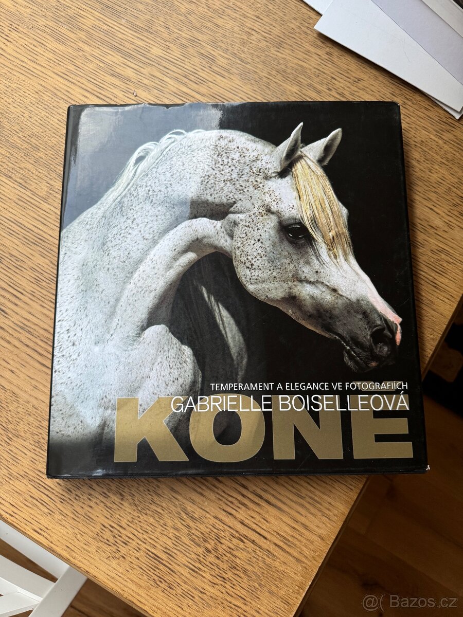 Koně