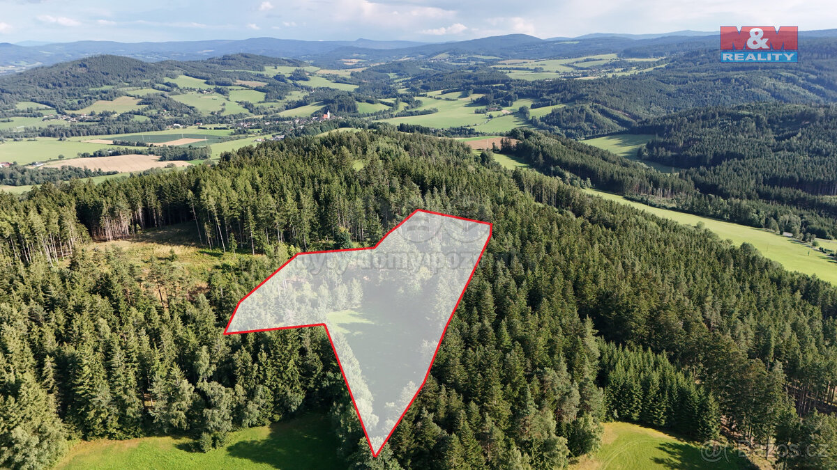 Prodej lesa, 15707 m², Petrovice u Sušice