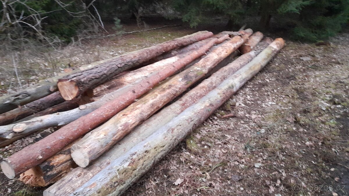 palivové dřevo