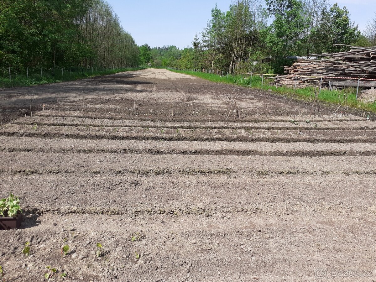 Pronájem pozemku 3200 m², Ostrava - Bartovice, ul. Šenovská