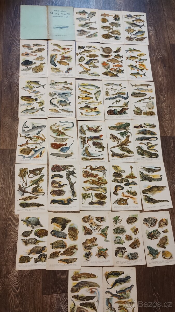 Koberův atlas plazů