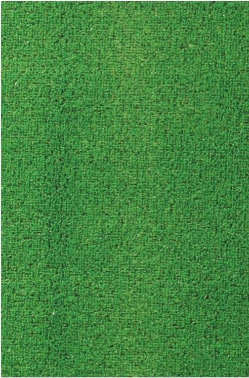 Travní koberec »Summer grass« 80x150 cm
