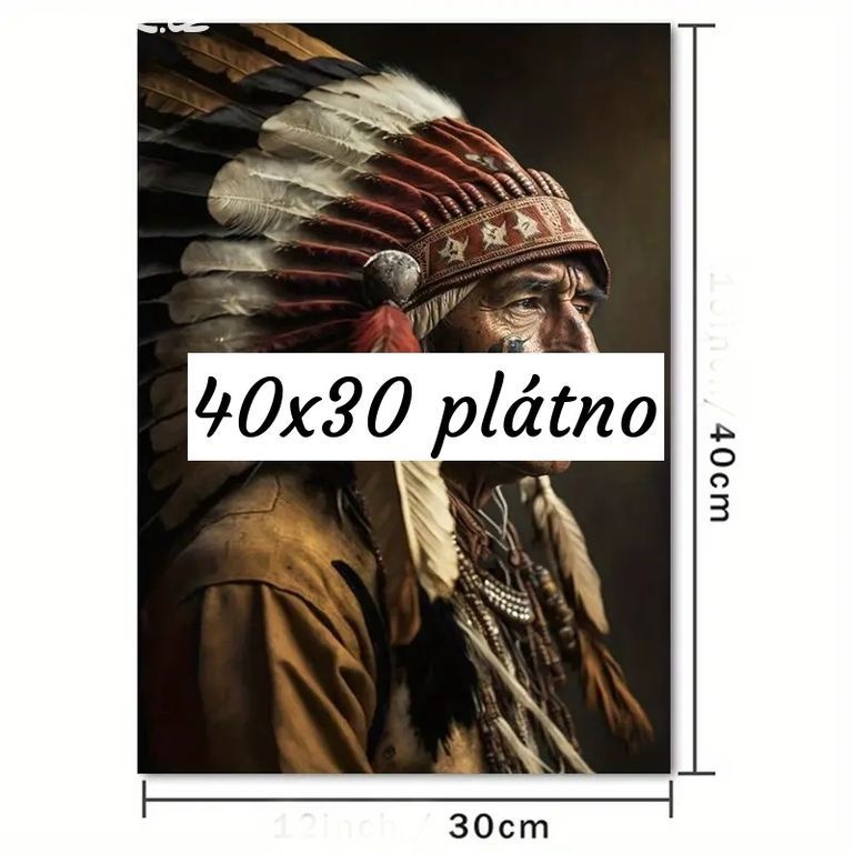 Indian 30x40 plátno tisk