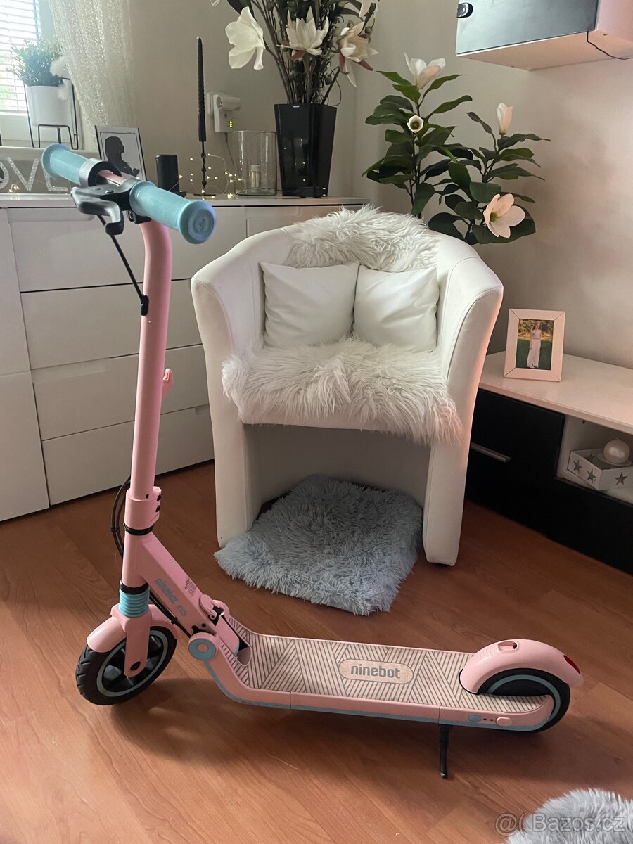 Elektrická koloběžka Ninebot DĚTSKÁ (Segway)