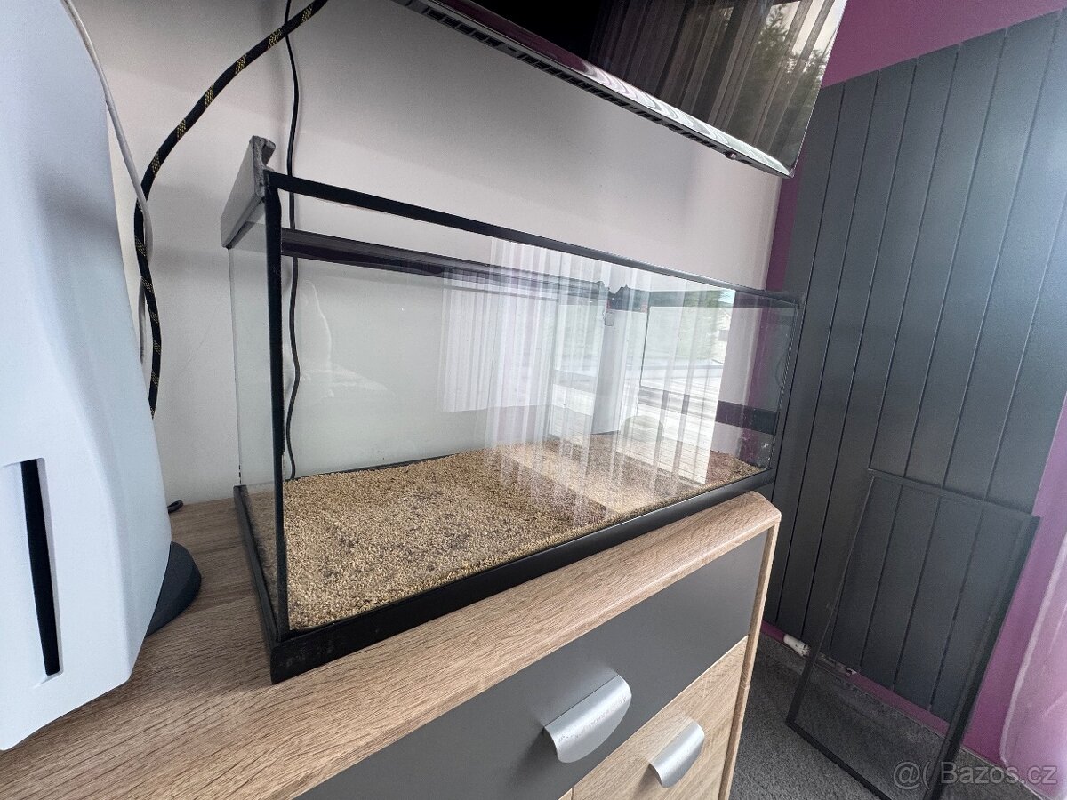 Terarium