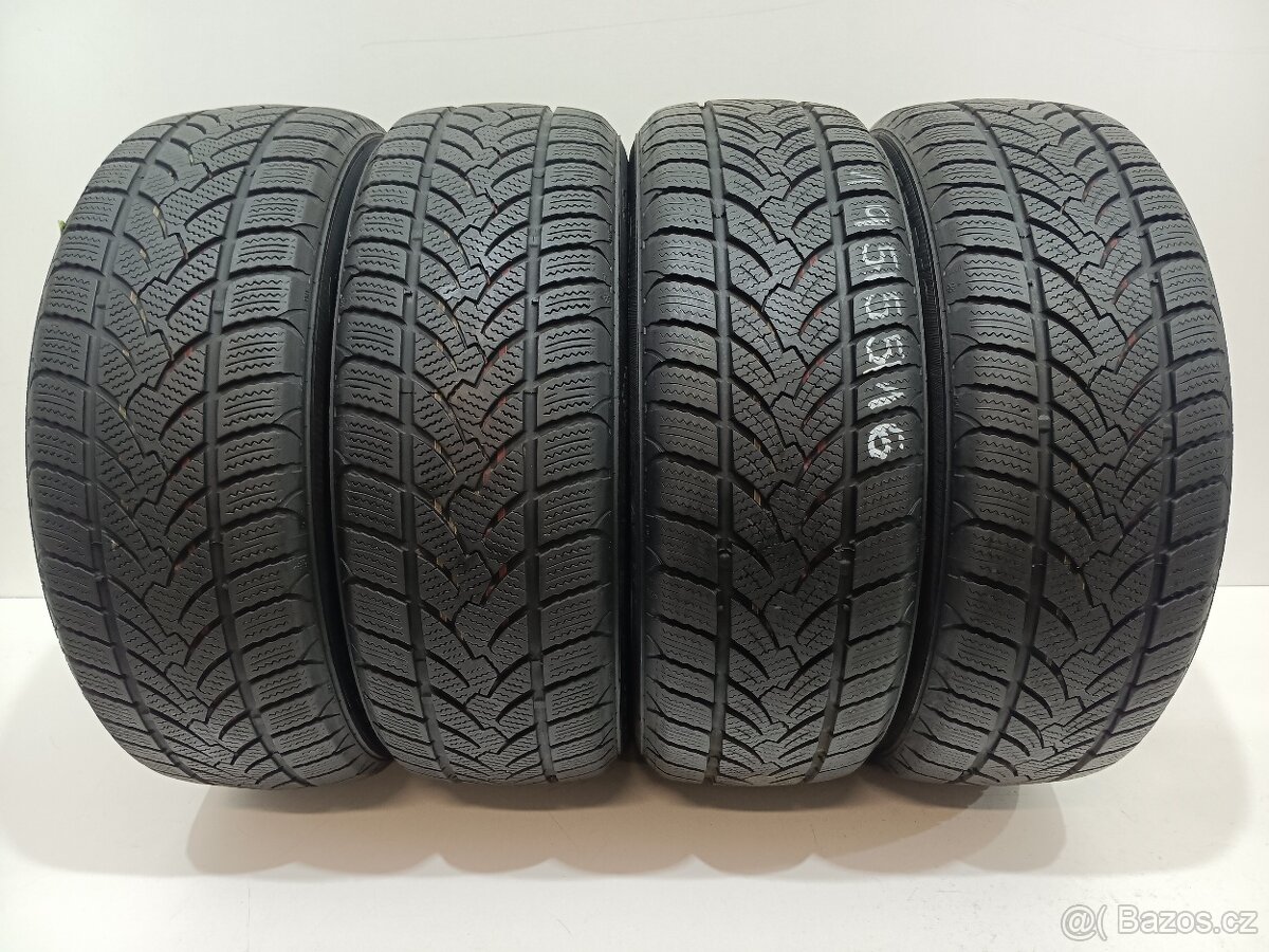 Zimní pneu 195/55/16 Platin