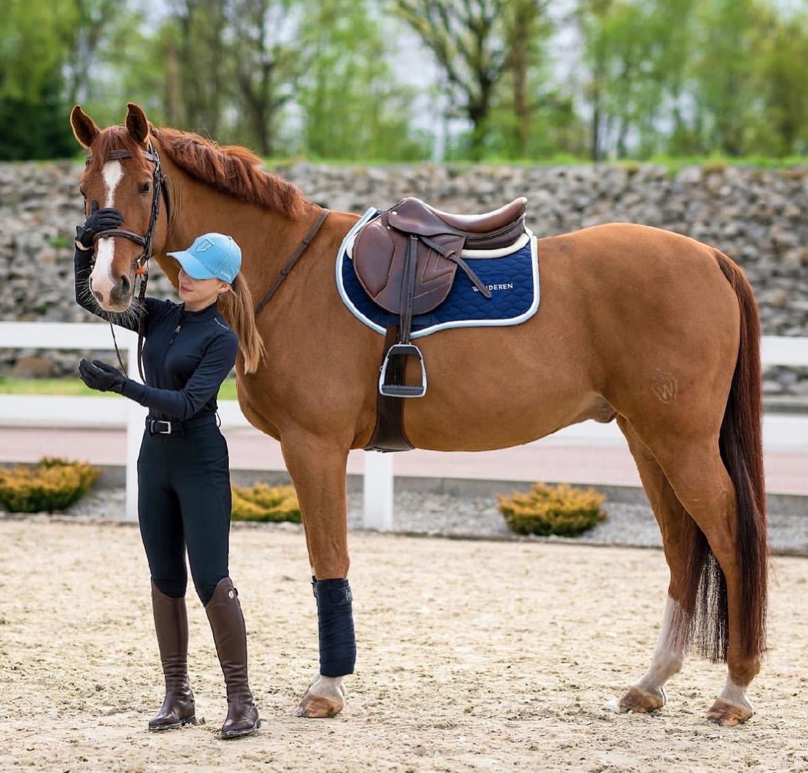 Zkušený Valach na prodej 👌🏻🤩