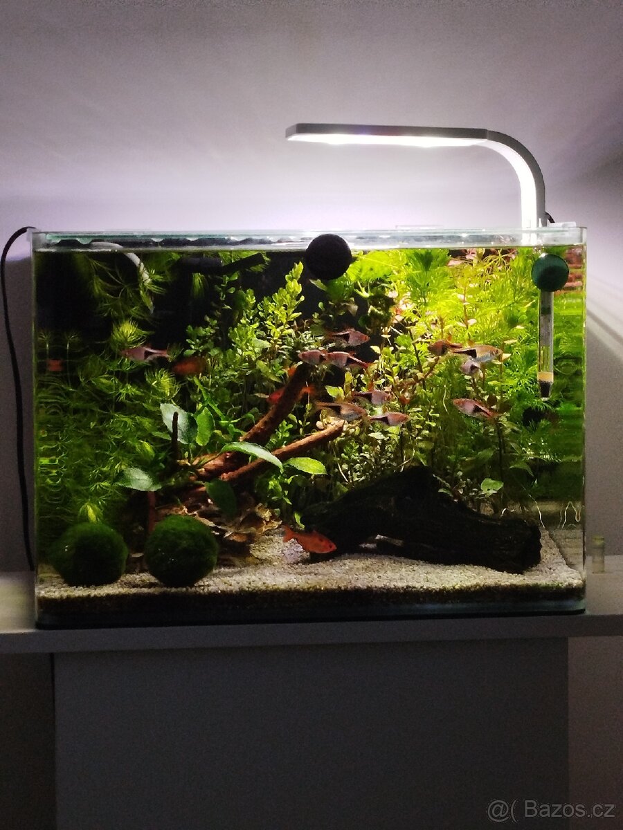 Prodám akvárium Dennerle Cube 35