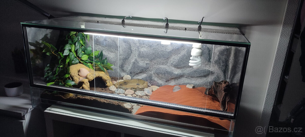 Terarium