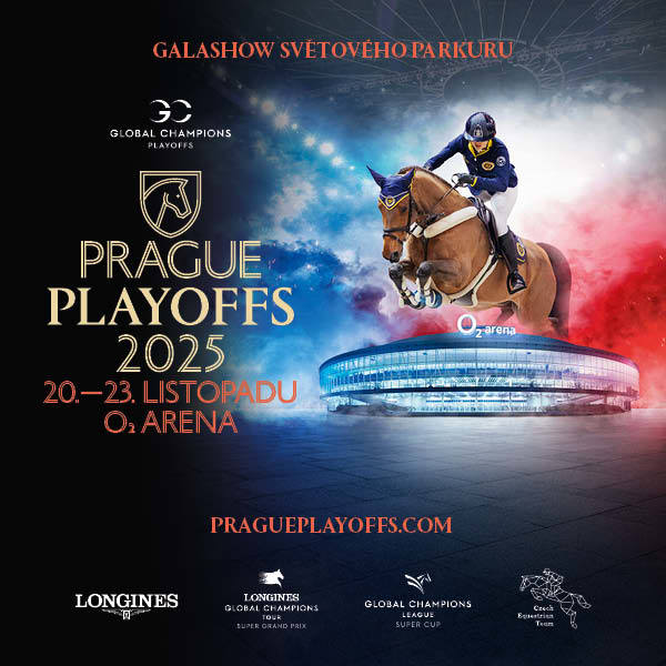 Prague playoffs  VIP