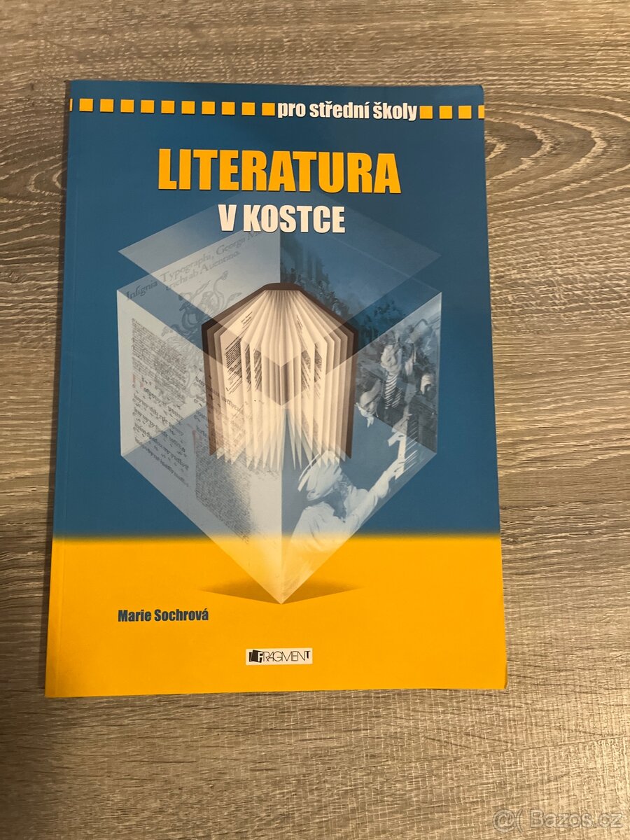 Literatura v kostce