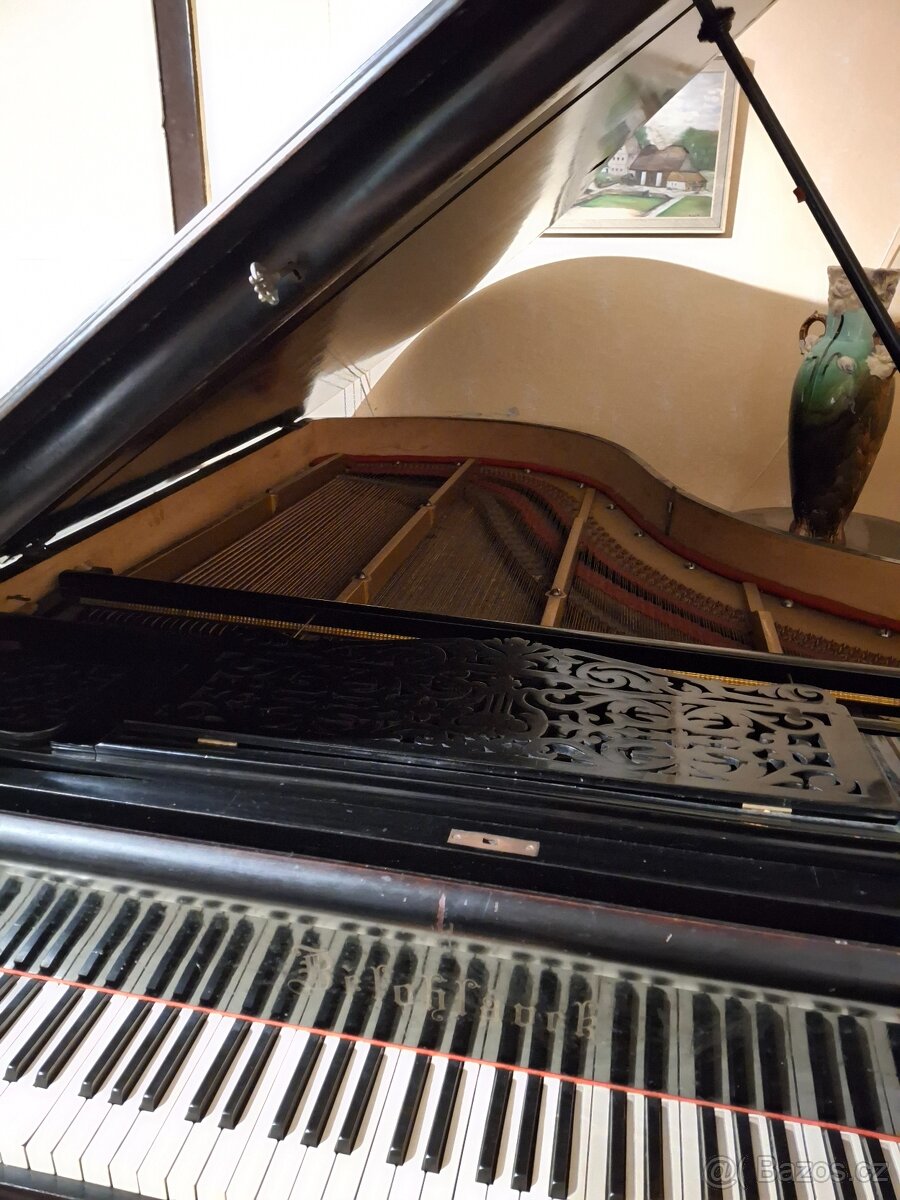 křídlo Bělohlávek