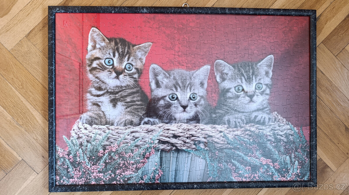 Obraz z puzzlí motiv koťata