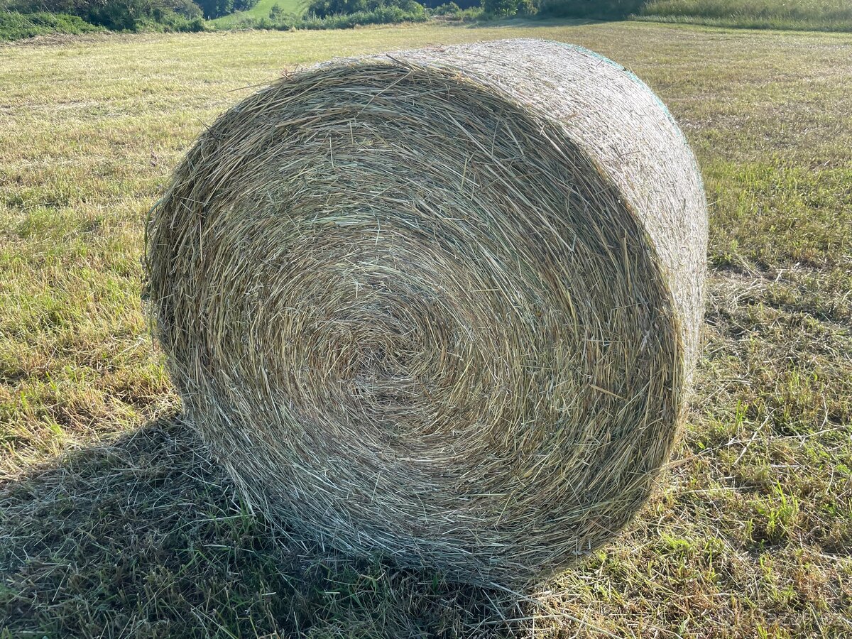 Balíky sena