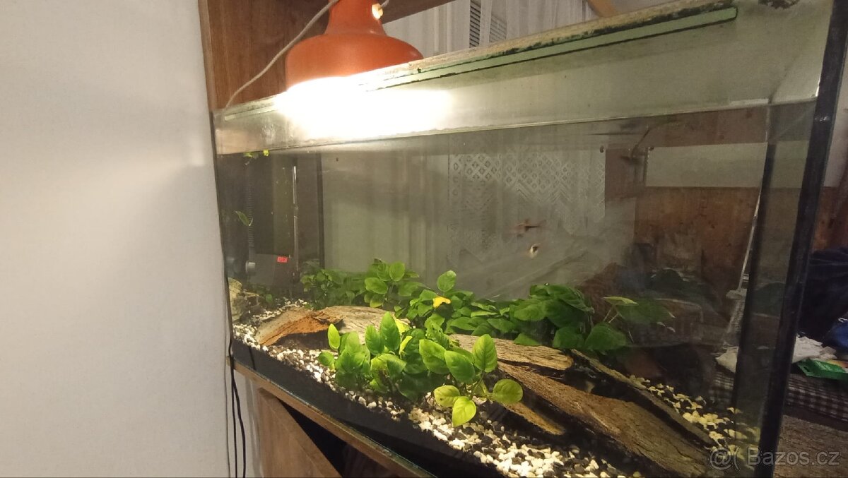 Akvárium s technikou