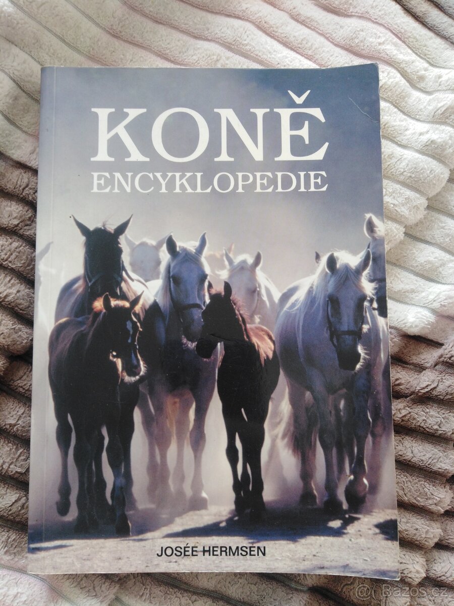 Koně Encyklopedie