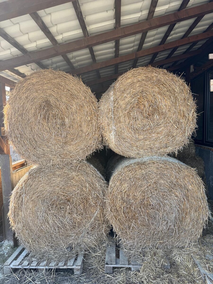 Seno , Sláma, Senáž