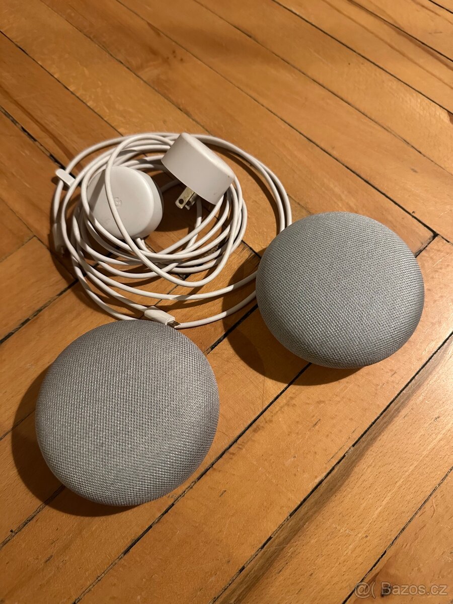 2x Google home mini US