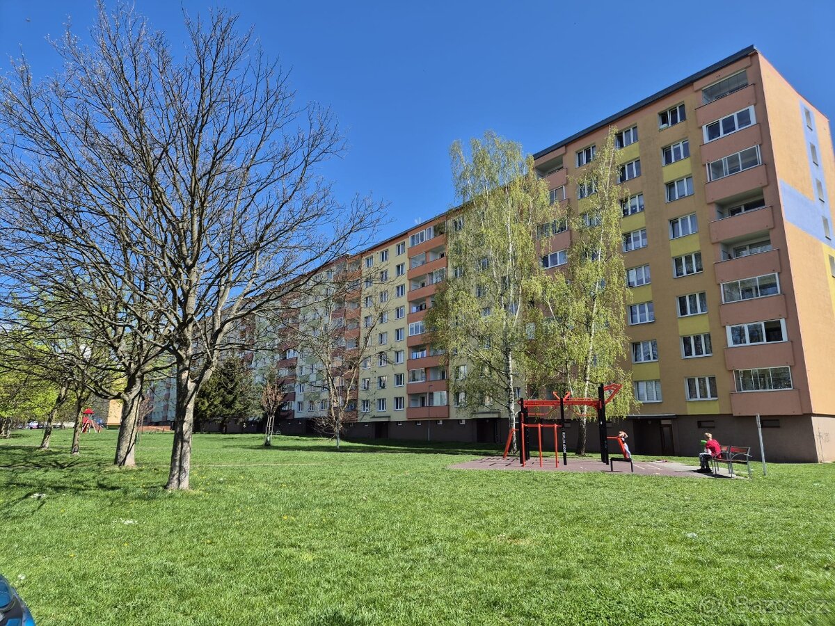 Pronájem bytu 2+1, Jungmannova, Ostrov