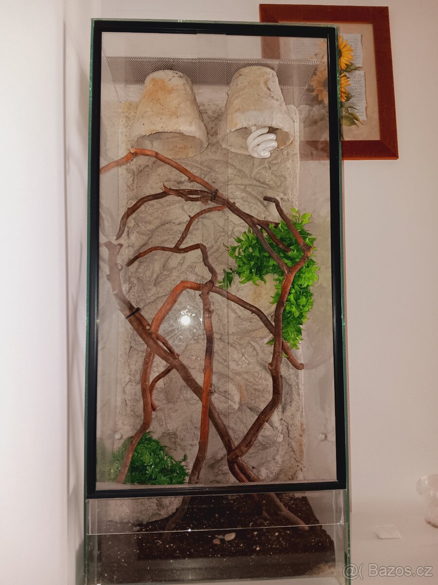 Terarium po chameleonovi
