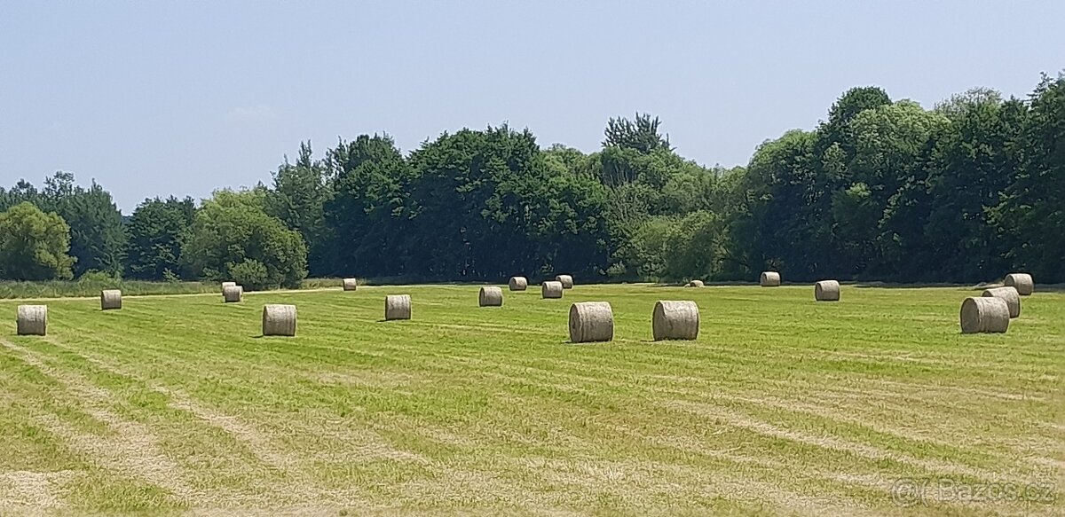 Seno kulaté balíky