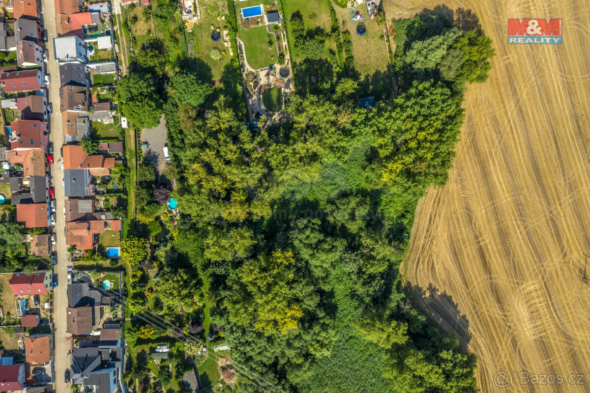 Prodej lesa, 10056 m², Kostelec nad Labem
