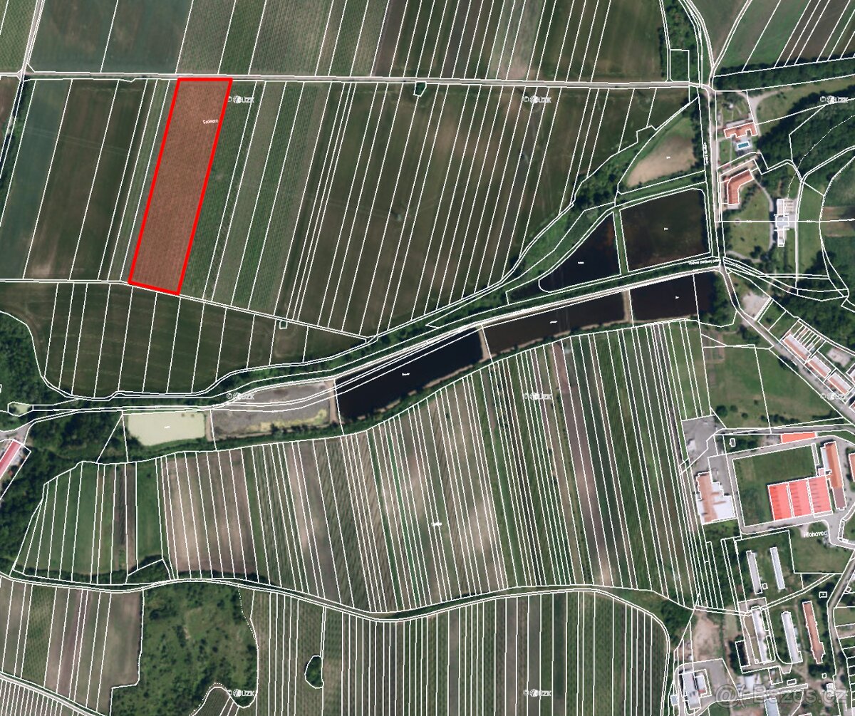 Prodej vinice v k.ú. Sedlec