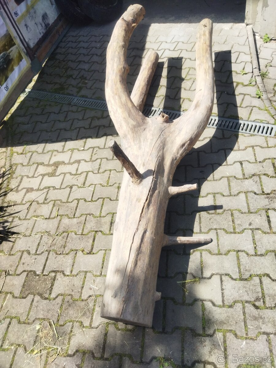 Atypický strom