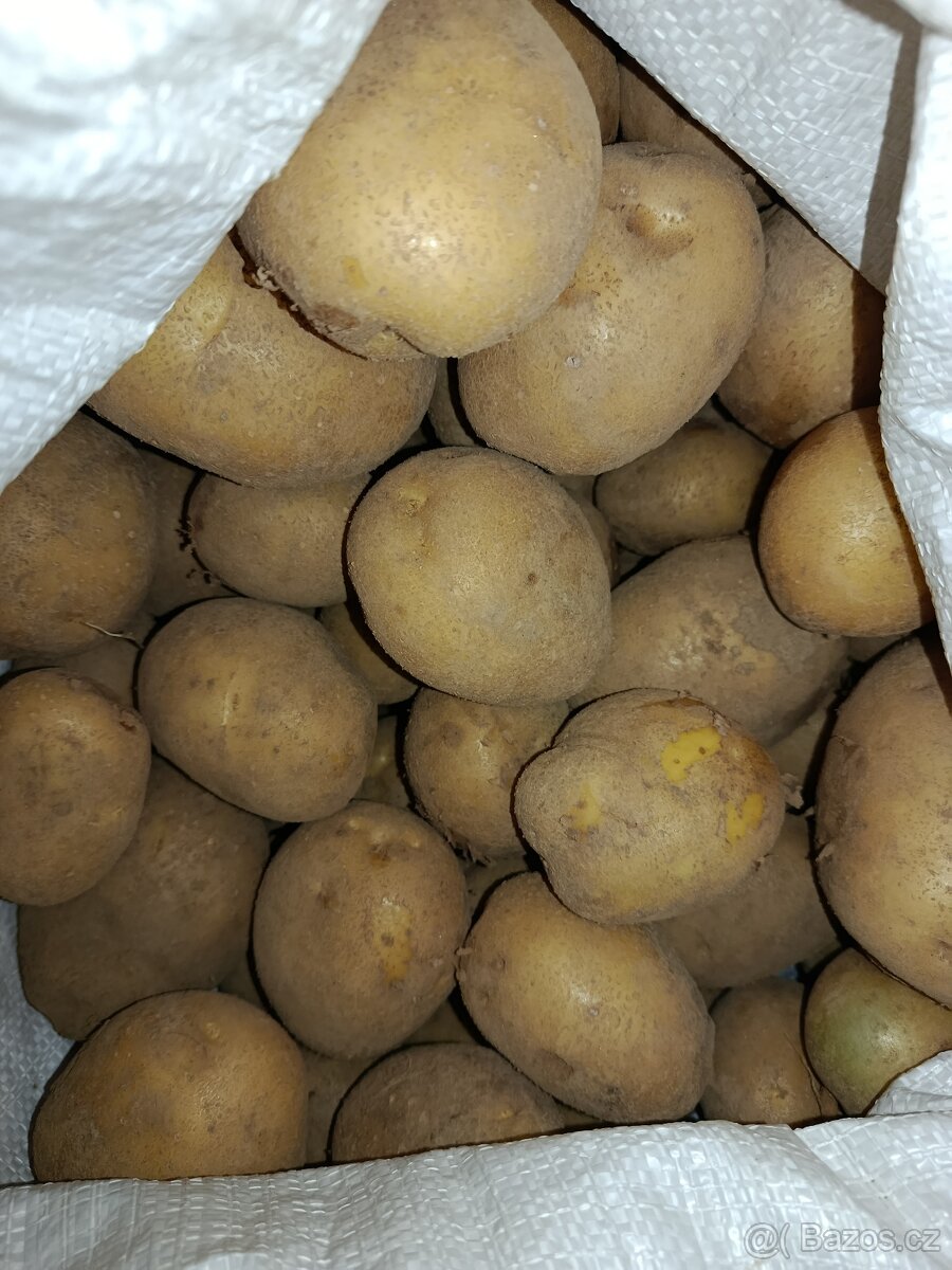 Brambory
