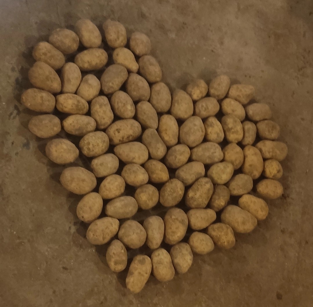 brambory marabel a anuschka. vhodné k uskladnění .