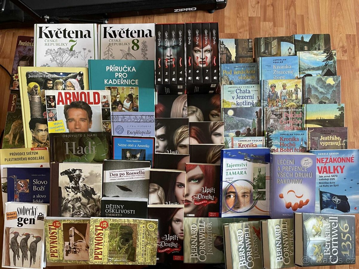 Upíří deníky,Kvetena ČR, Nezákonné války,Urbex,Runy,Duchové