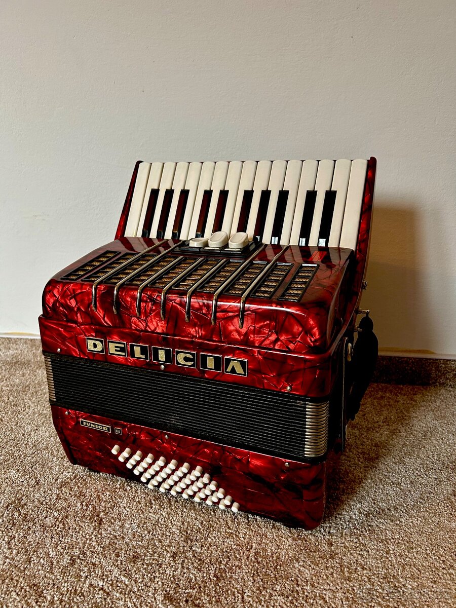 Akordeon-Delicia Junior II
