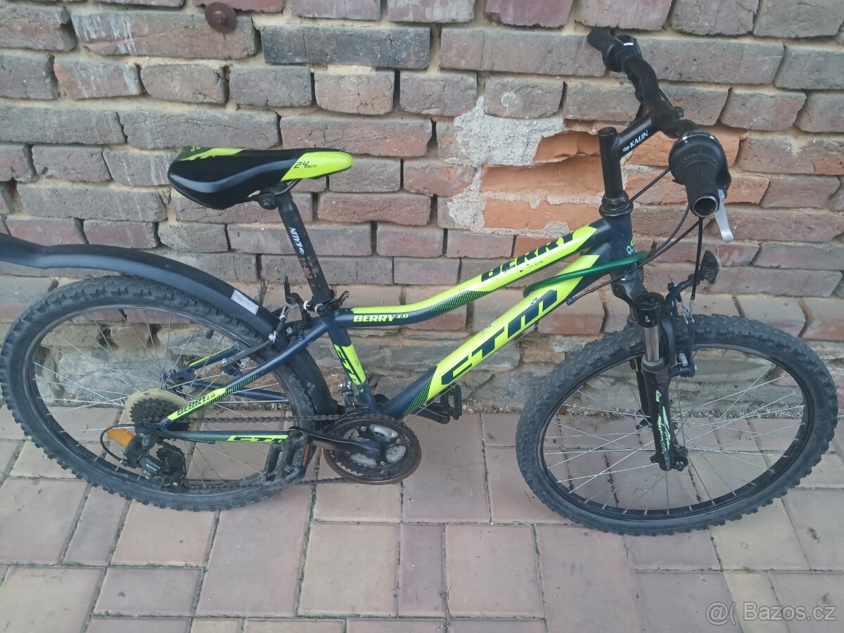 Dětské kolo BERRY CTM