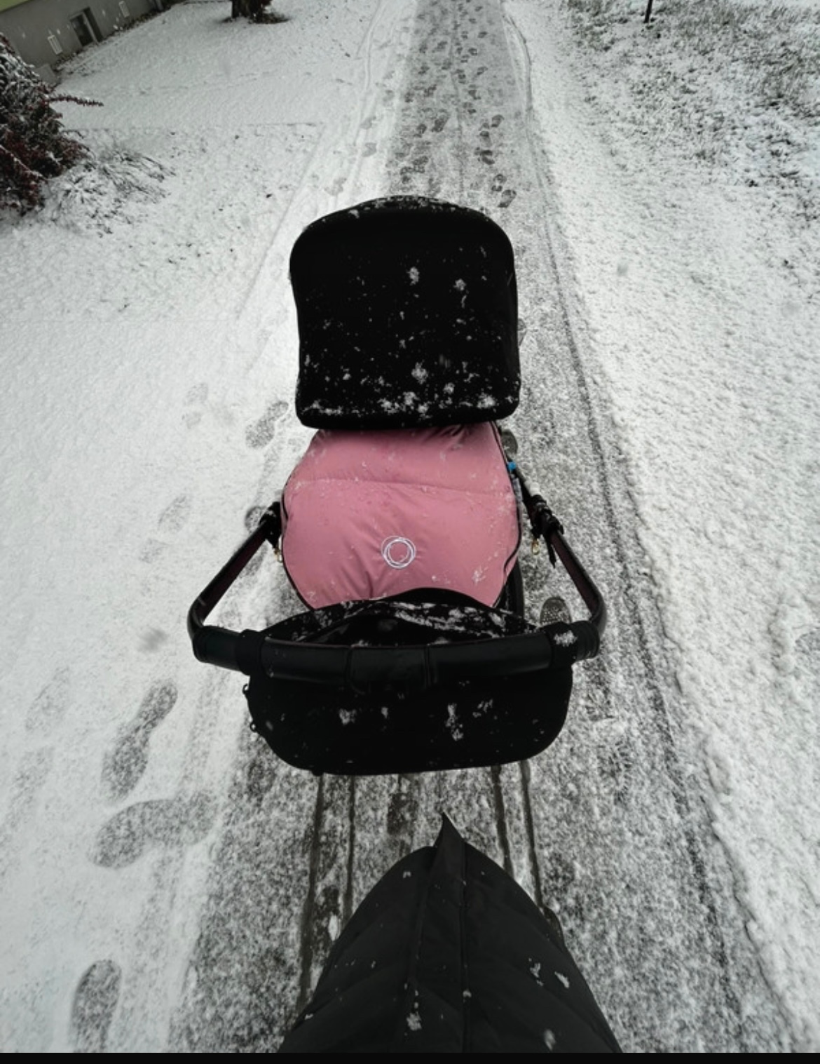 Bugaboo fox 3