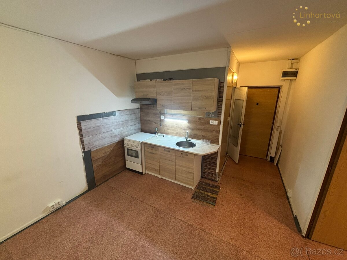 Pronájem bytu 1+1 43 m² Neumannova, Aš