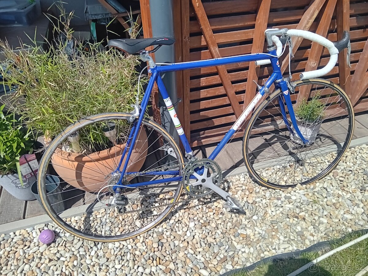 Favorit sport