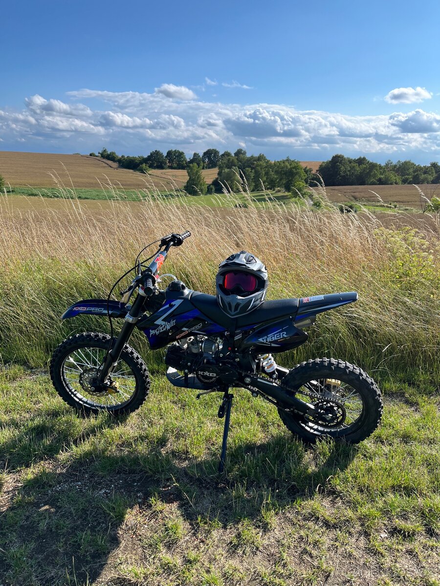 Pitbike KXD pro 125