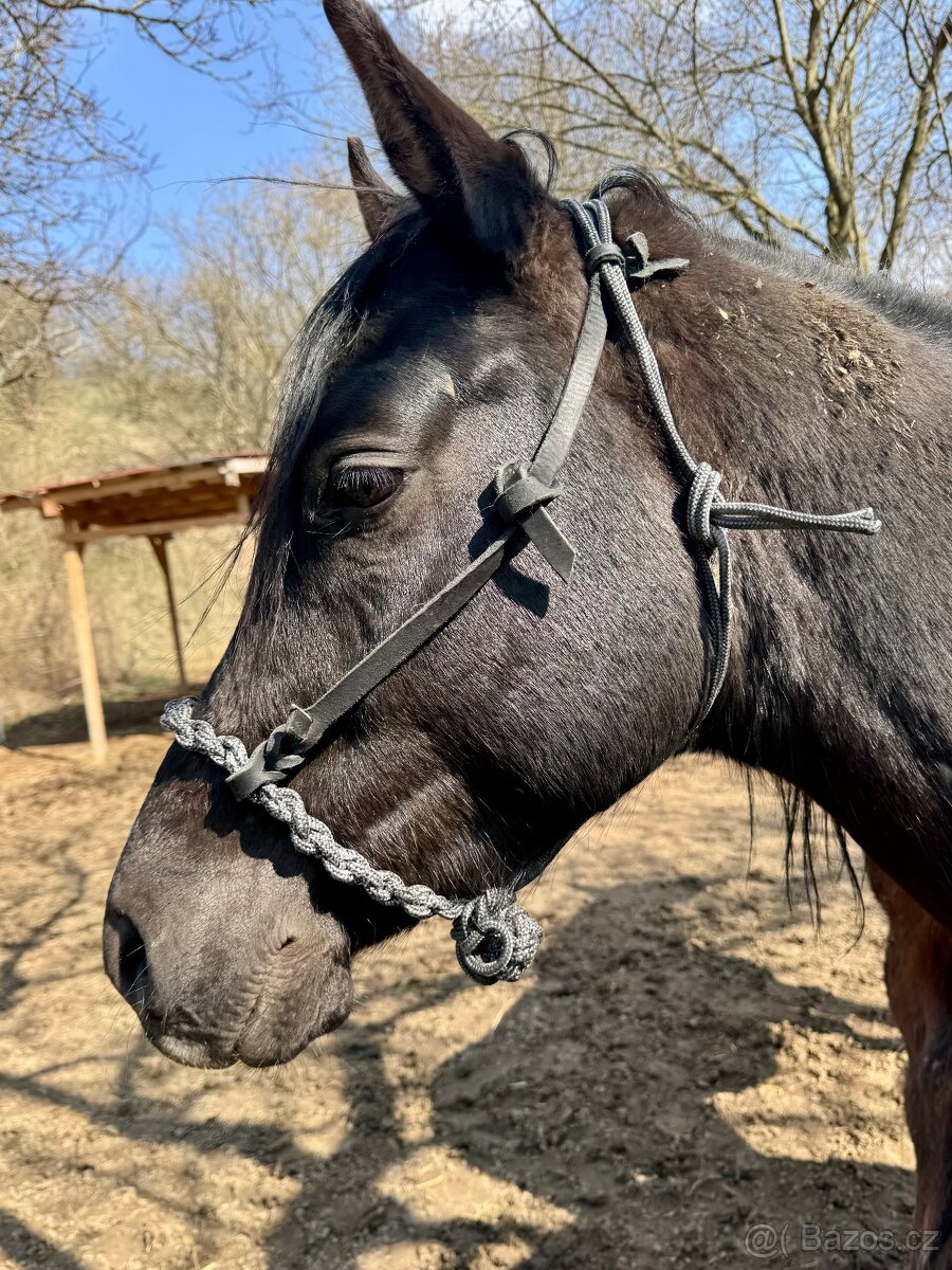 Bosal provazovy