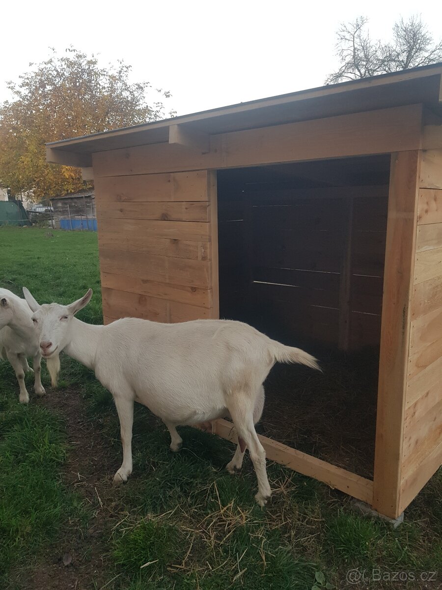 Přístřešek pro kozy, ovce, poníky...