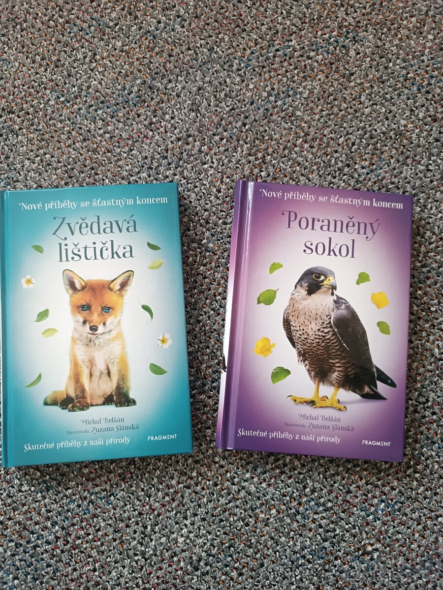 Zvědavá lištička, Poraněný sokol, Michal Belšán