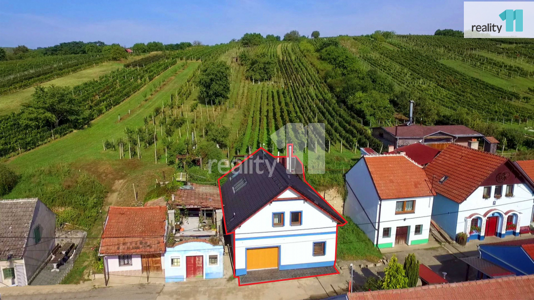 Prodej, vinný sklep s apartmánem, 183 m2, Bořetice